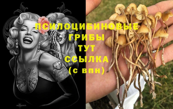 амф Михайлов