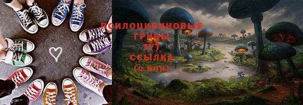 дурь Михайловка