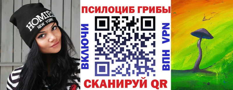 купить  сайты  Никольск  Псилоцибиновые грибы GOLDEN TEACHER 